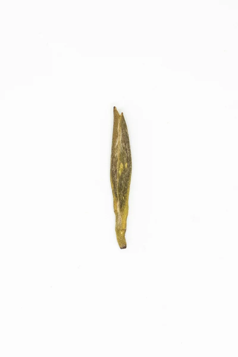 Méngdǐng Huáng Yá