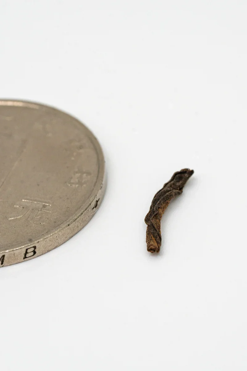 Gong Ting Pu-erh