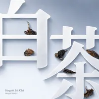 桑植白茶