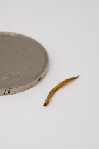 Jīn Jùn Méi