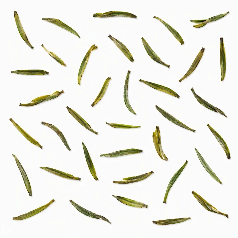 Gùzhǔ Zǐ Sǔn