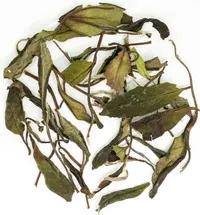 Shǒu Méi Xīn Chá