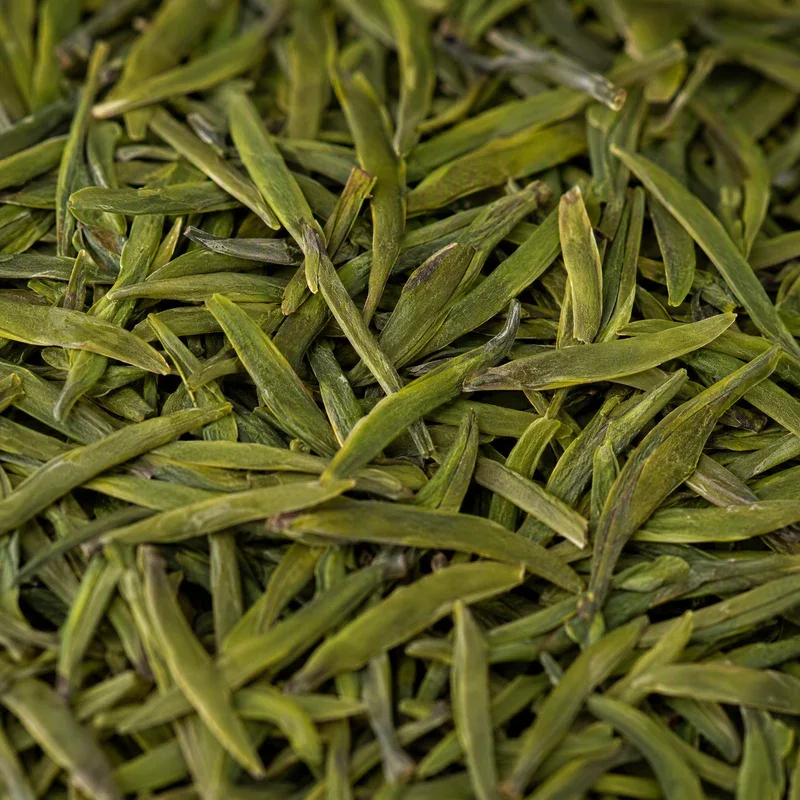 巴山雀舌