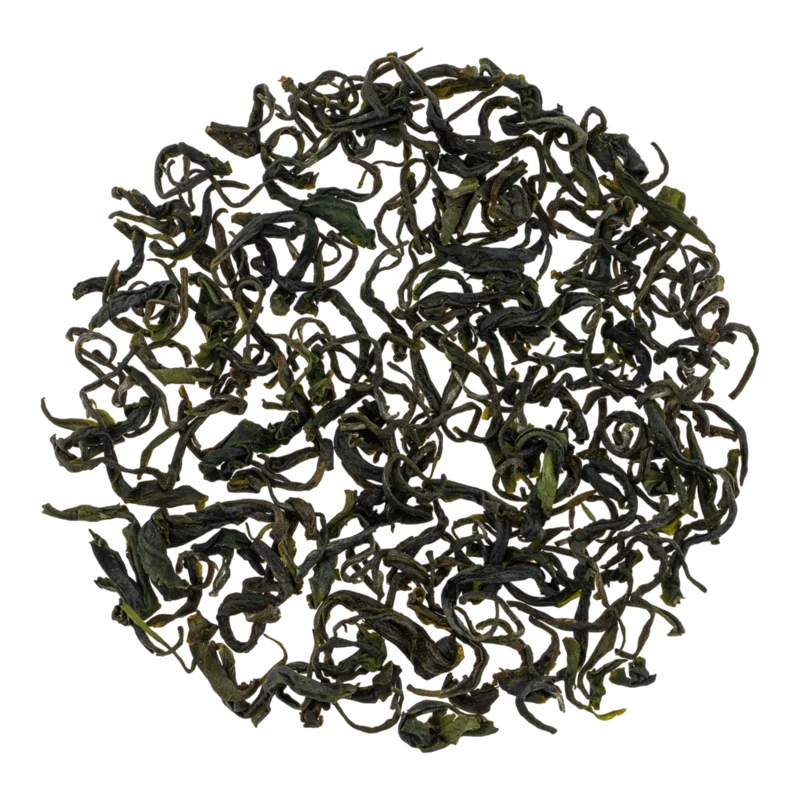 Zūnyì Máofēngchá