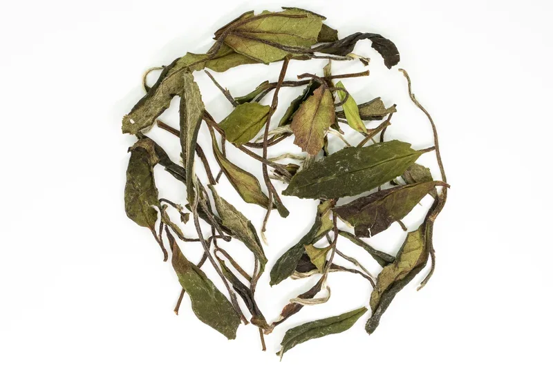 Shǒu Méi Xīn Chá