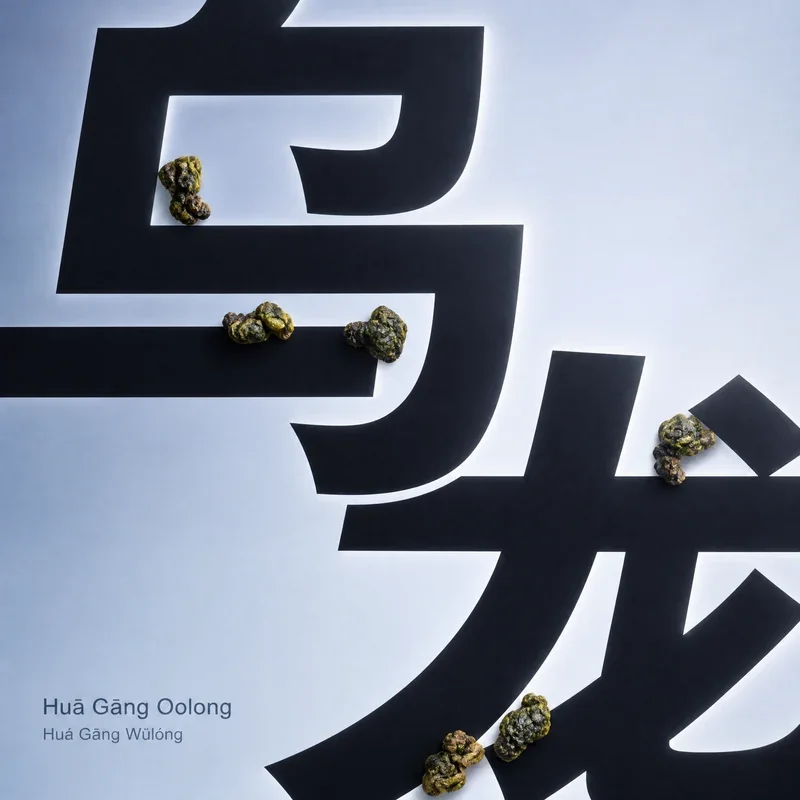 Huá Gāng-oelong