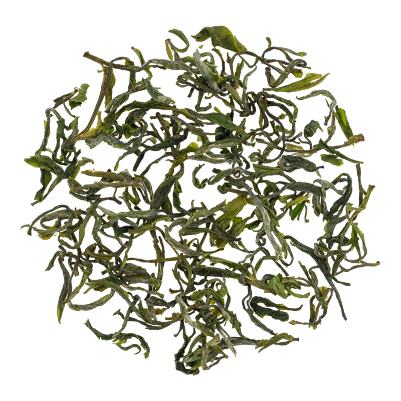 商南泉茗