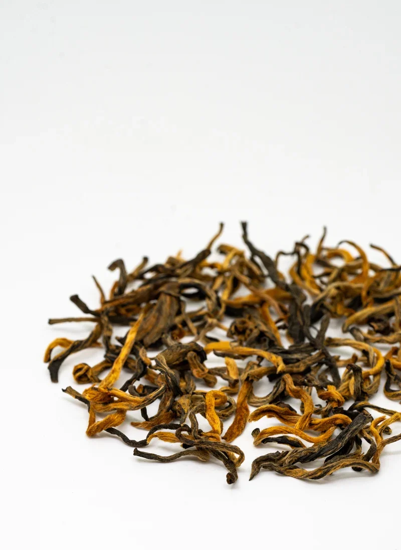 滇紅金芽