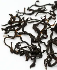 Yúnnán Gǔ Shù Hóng Chá