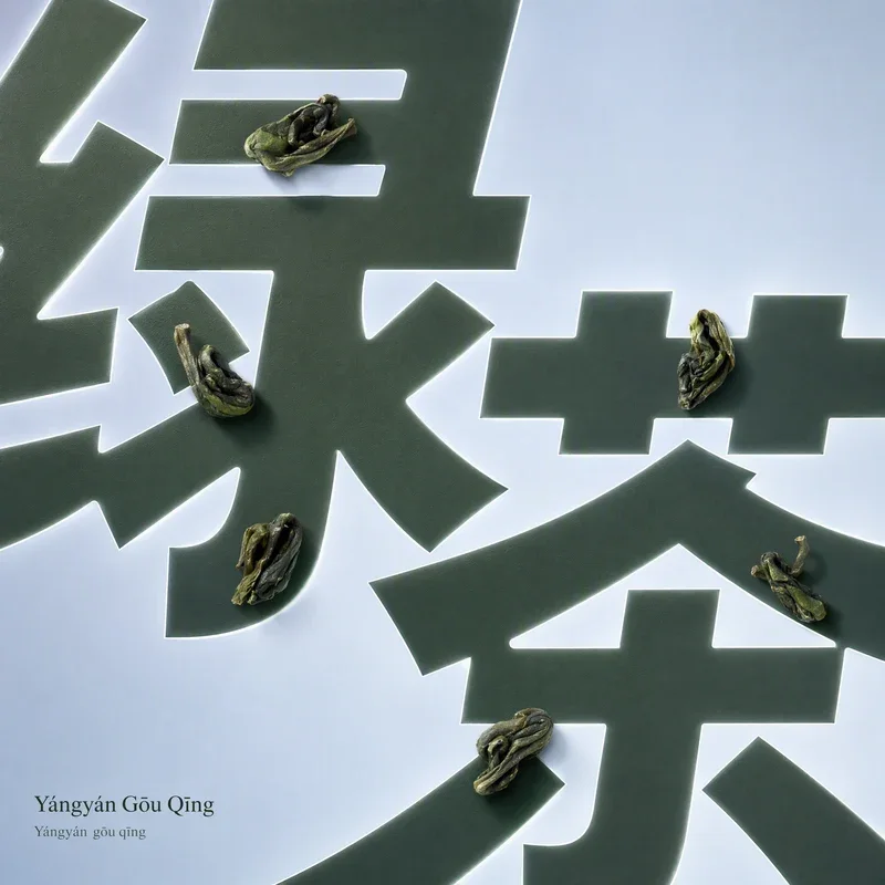 Yángyán Gōu Qīng