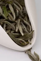 Bái Háo Yìn Zhèn Xīn Chá