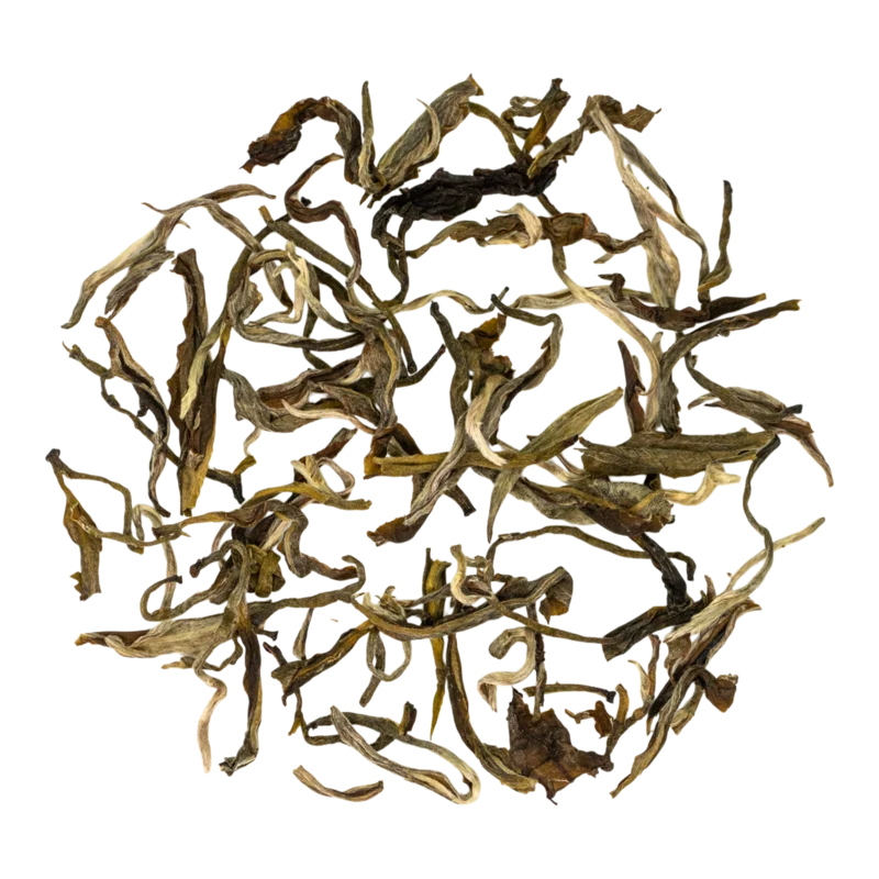 岳陽黃茶