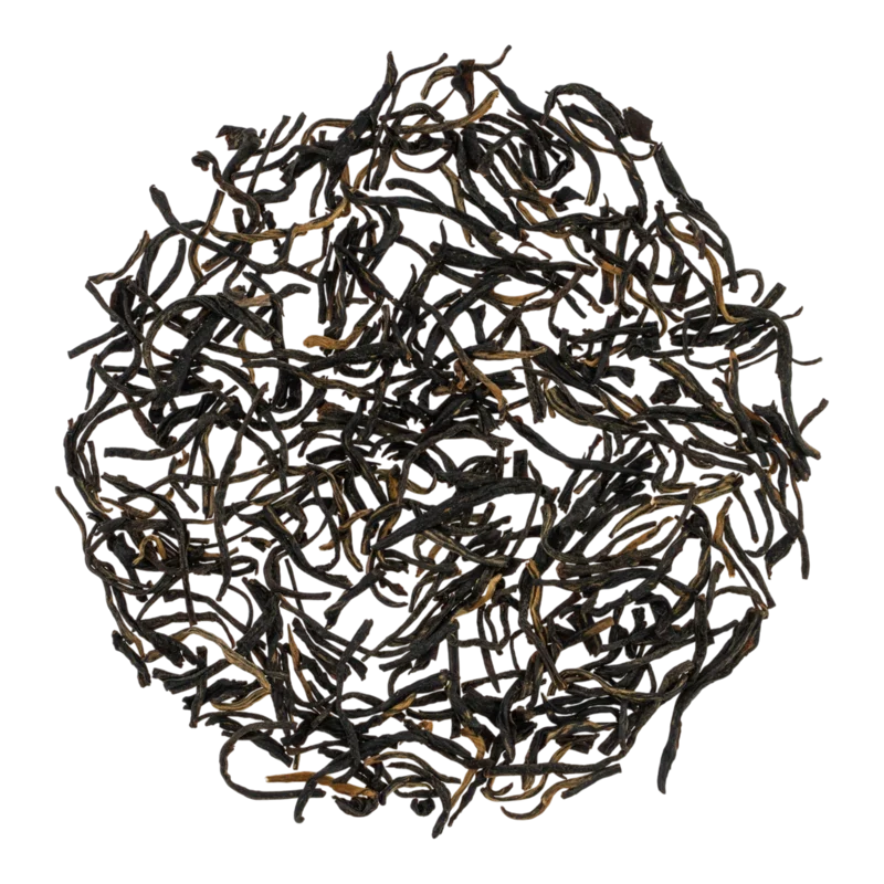 Tóngjùnméi