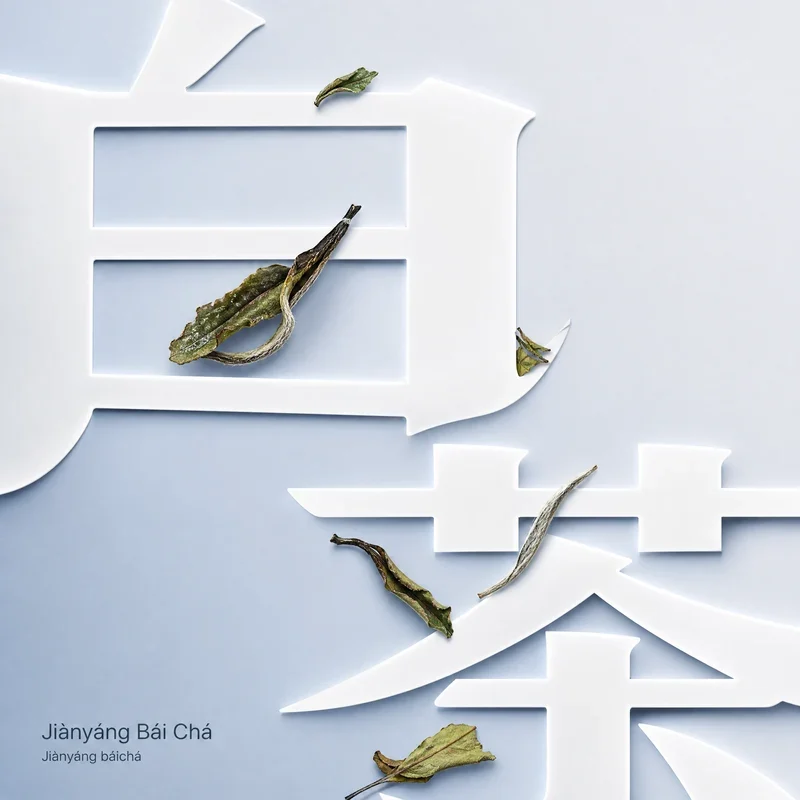 Jiànyáng Bái Chá
