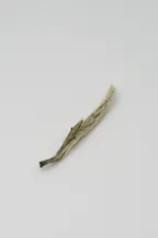 Bái Háo Yìn Zhèn Lǎo Chá