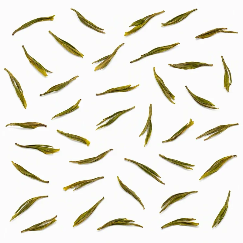 靖安白茶