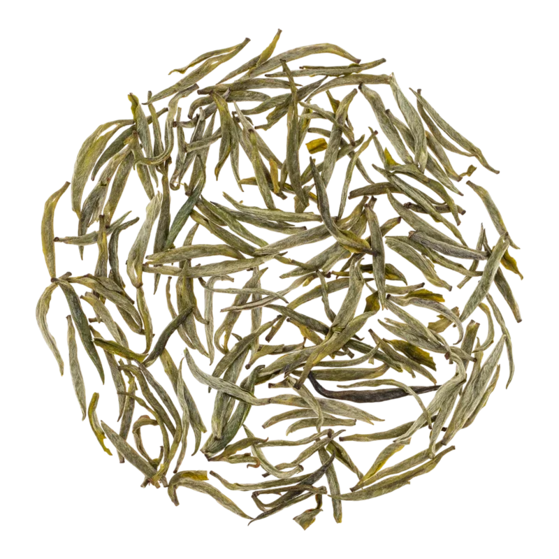 Yuèyáng Huáng Yá
