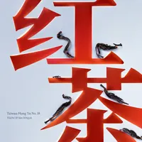 Taiwan Hong Yu No. 18