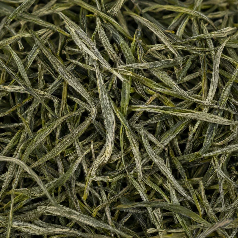 Gǔzhàng Máo Jiān