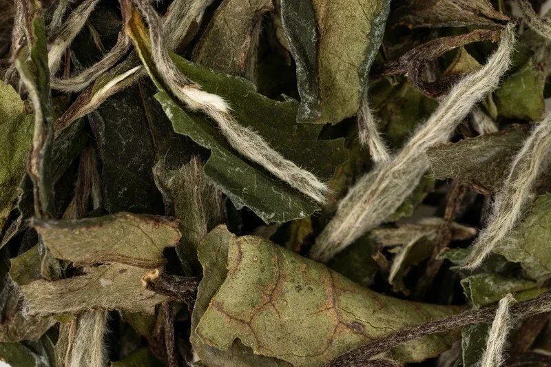 Bái Mǔdān Xīn Chá