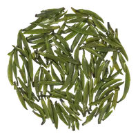 Tiānfǔ Lóng Yá
