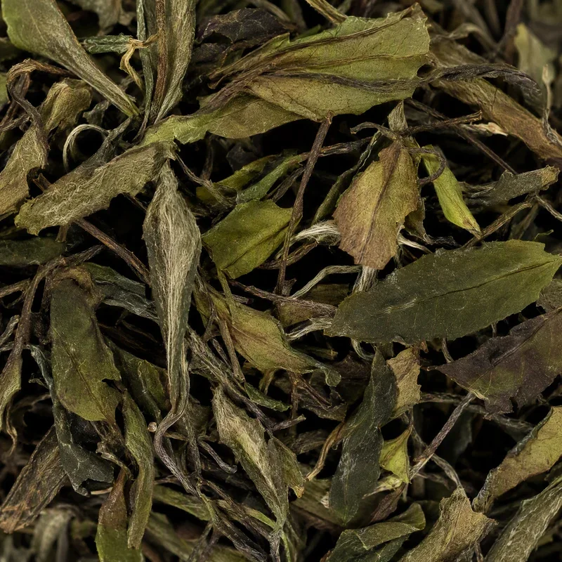 Shǒu Méi Xīn Chá