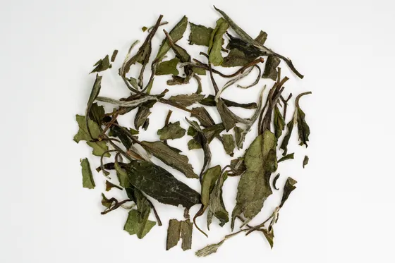白牡丹新茶