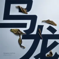 Zhāngpíng Shuǐ Xiān