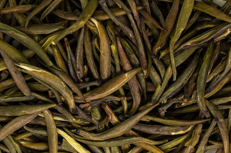 Junshan Yinzhen