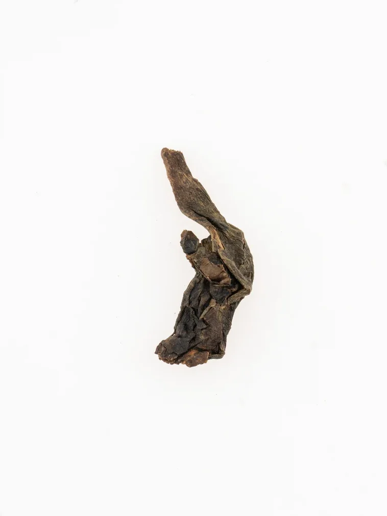 Gǔ Yī Hēi Chá