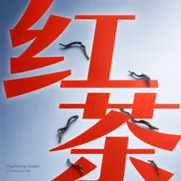 Chuānhóng Gōngfū