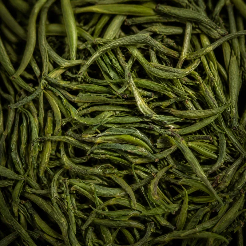Zhūjì Mǎ Jiàn Chá
