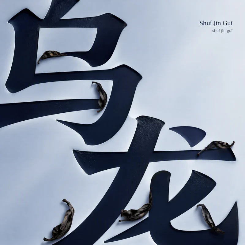 Shuǐ Jīn Guī