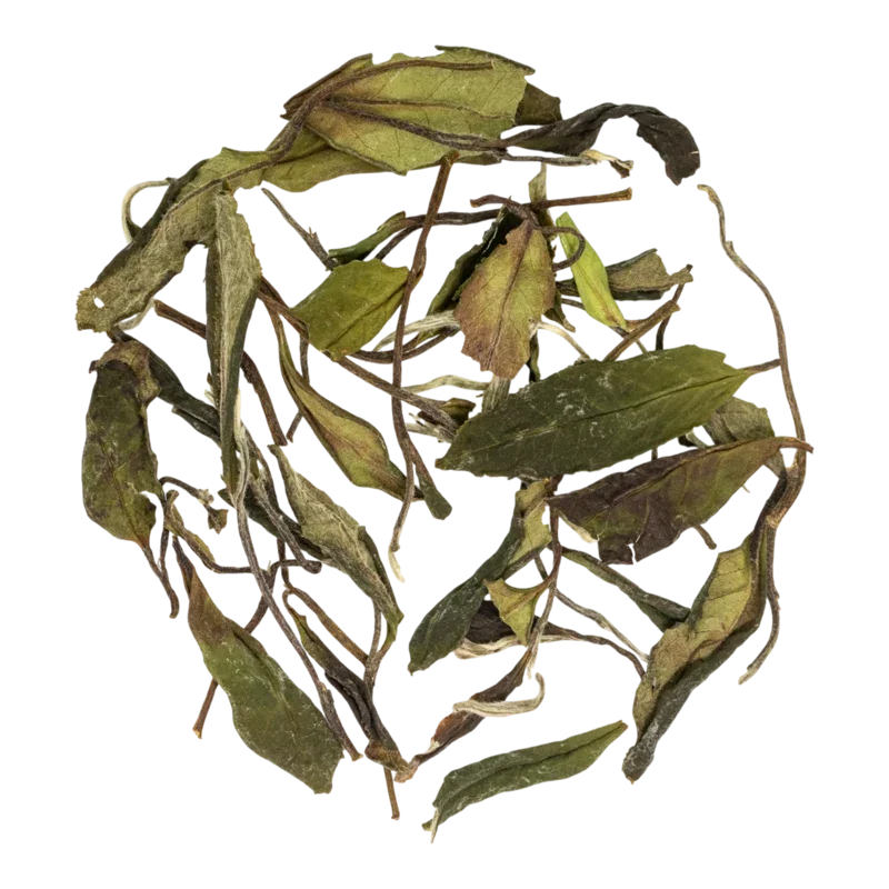 Shǒu Méi Xīn Chá