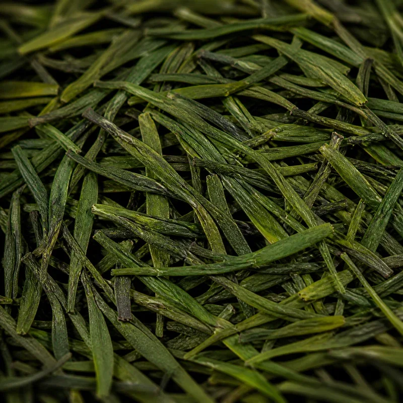 Qiandao Yu Ye