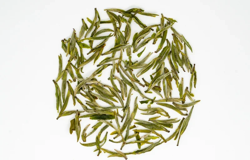 Huángshān Máofēng