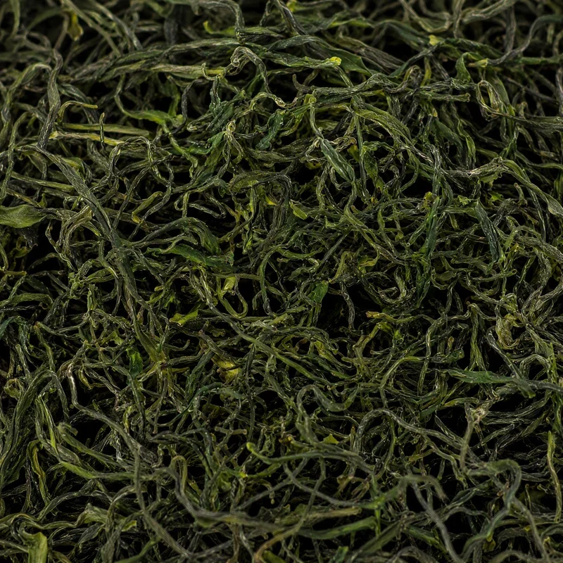 Lingyun Green Tea