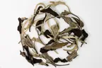 Yue Guang Bai